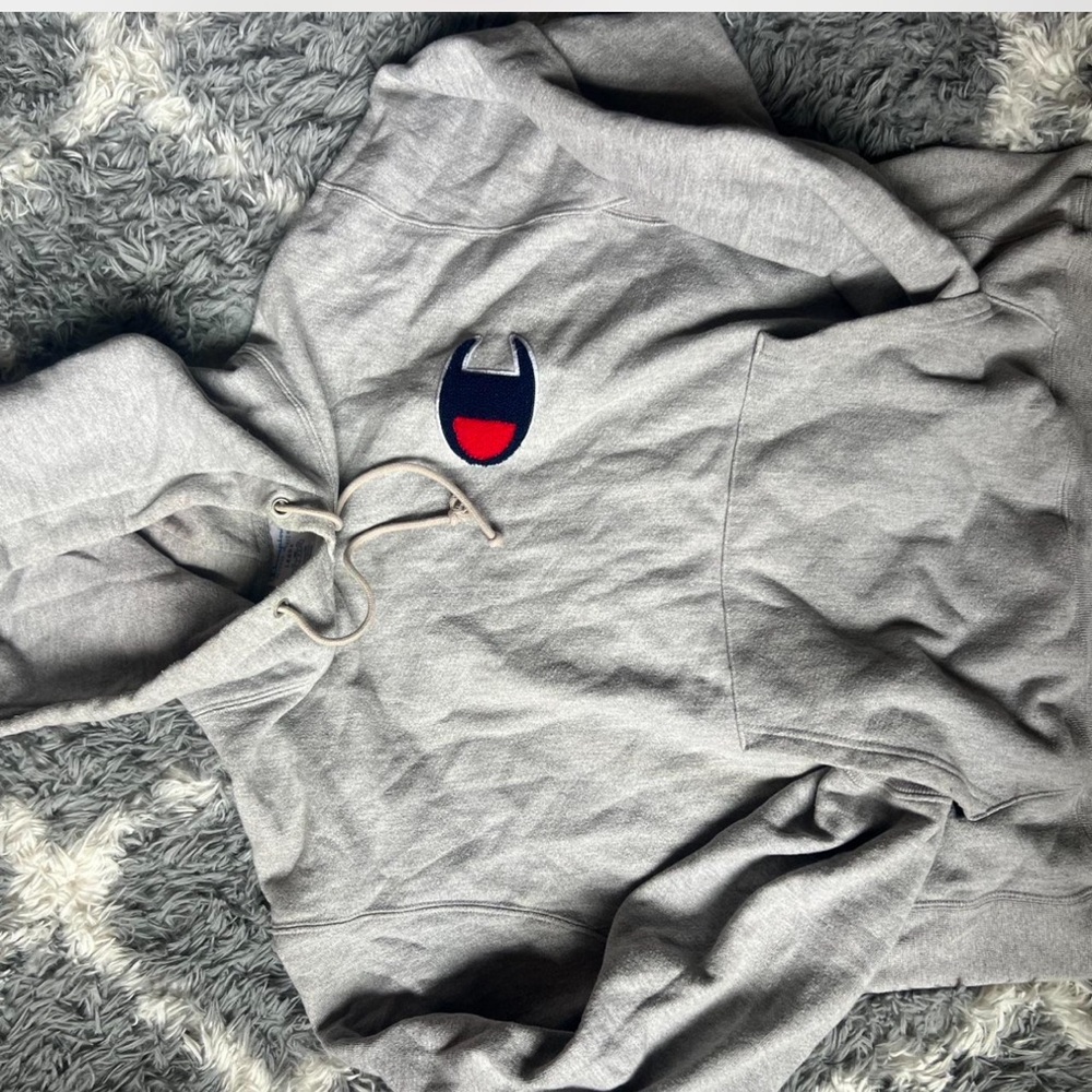 Champion Gray Hoodie Sweater